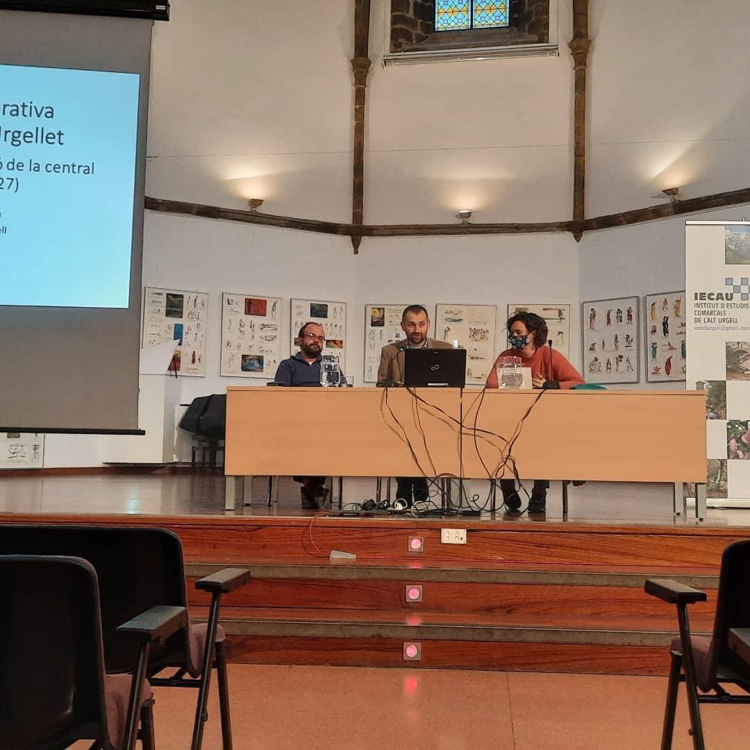 Estudis Comarcals de l'Alt Urgell VI 4