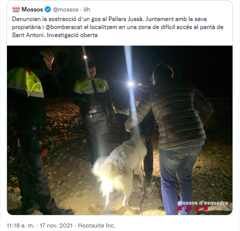 Gos pantà de Sant Antoni 2
