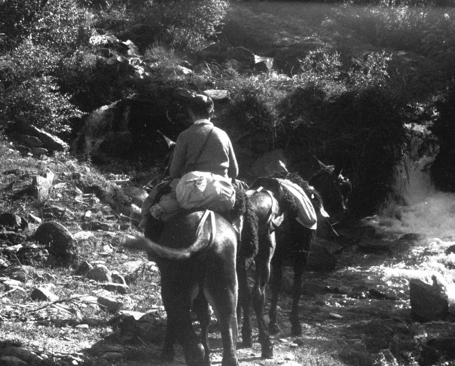 Central de Tavascan 2