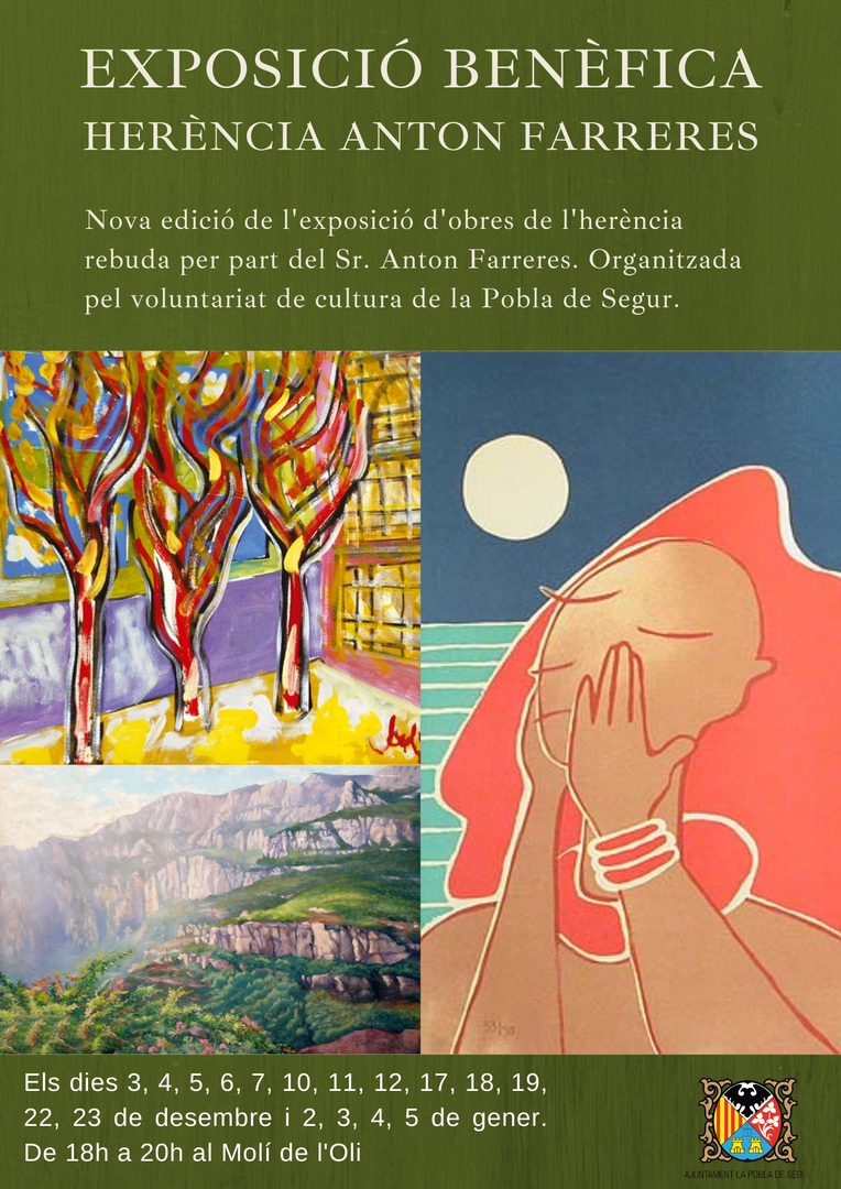 exposició anton ferreres