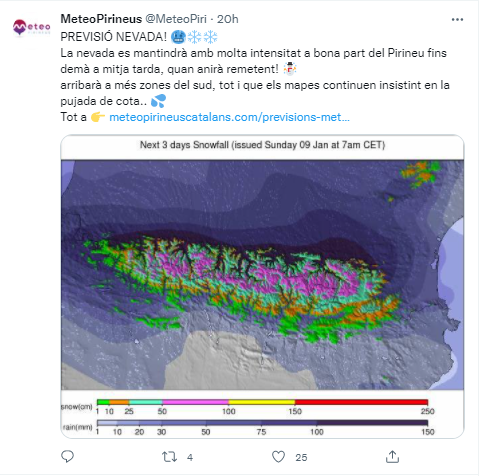 Meteopirineuscat
