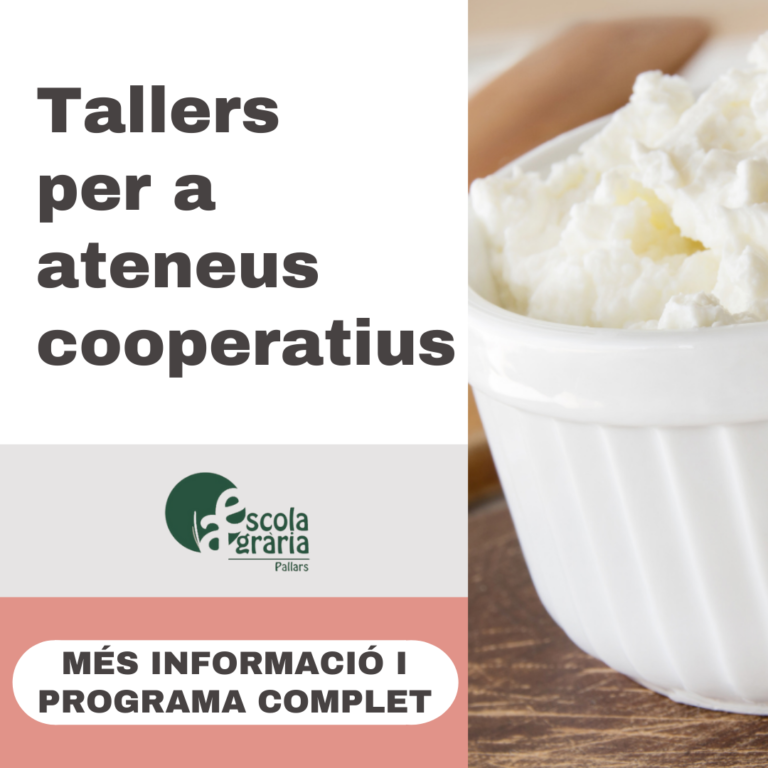 Ateneus-web-768x768