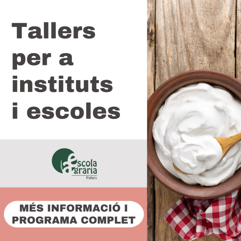 Instituts-web-768x768