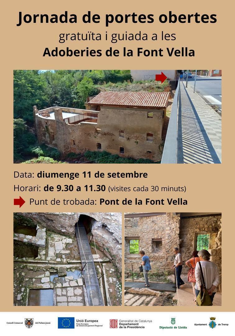 cartell-adoberies11-