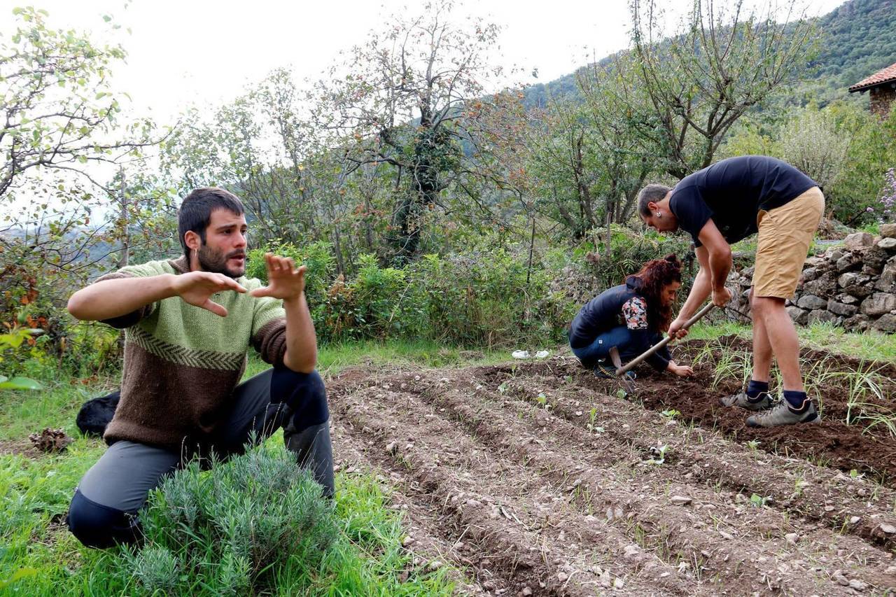 Balestui habitatge 3