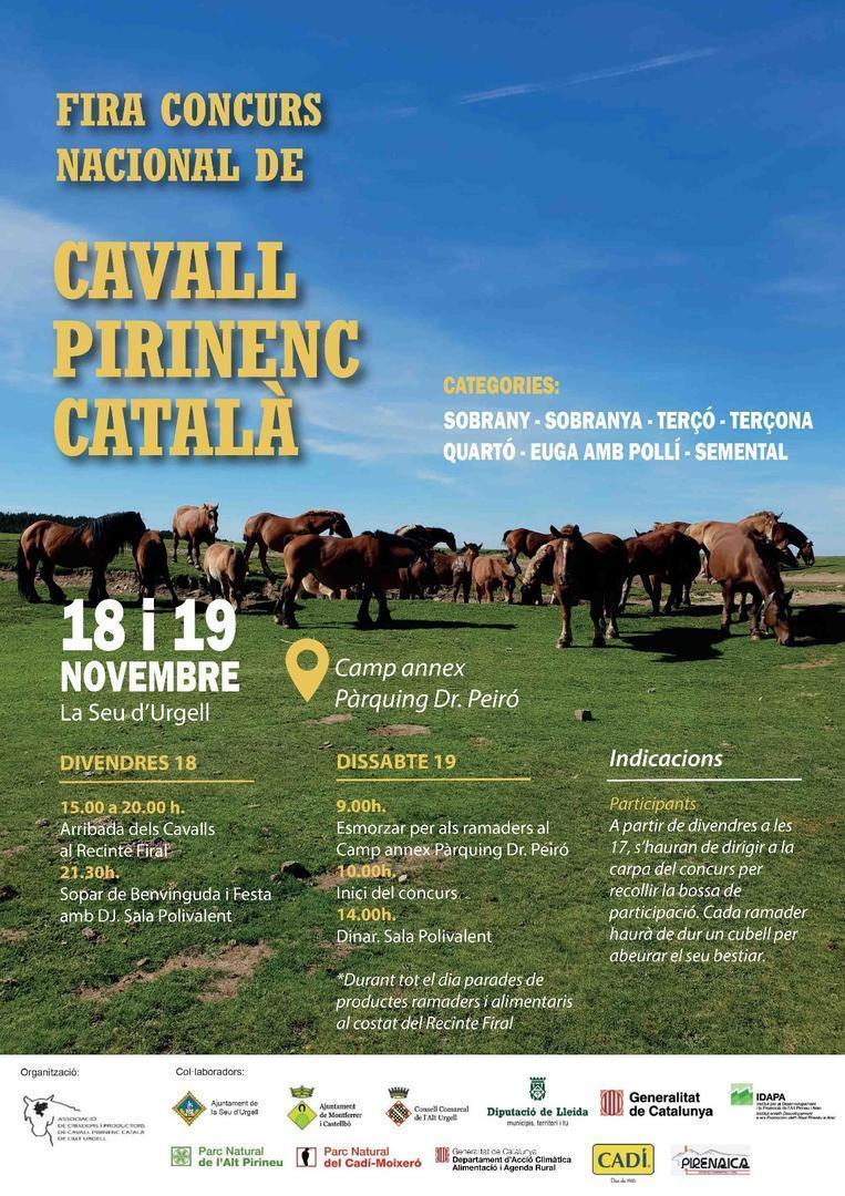 Concurs nacional Cavall