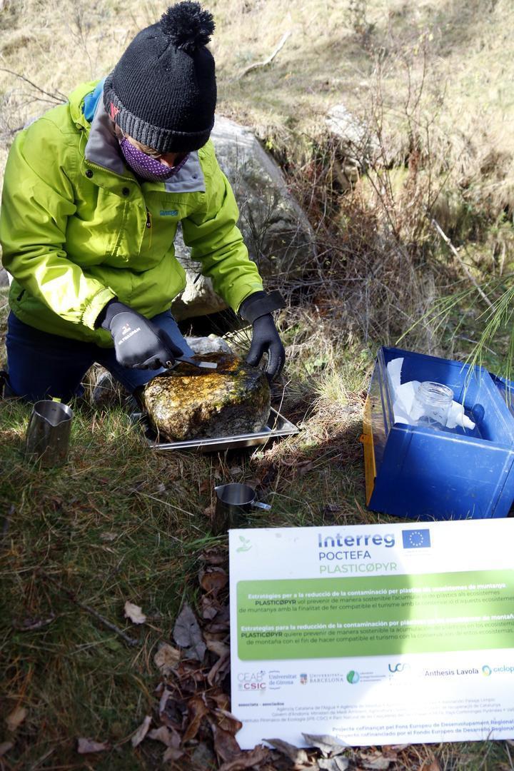 Detall d'una científica del Centre d'Estudis Avançats de Blanes processant mostres recollides al riu Ter, al Ripollès. Imatge publicada el 30 de desembre de 2020. (Vertical)