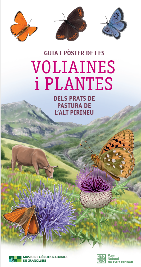 voliaines