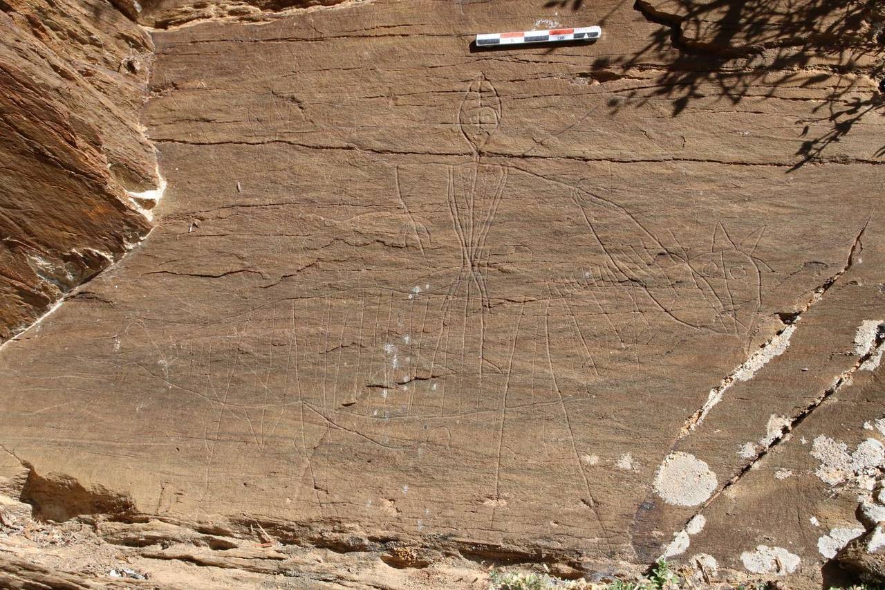 Gravats de Saurí UAB_CSIC 2