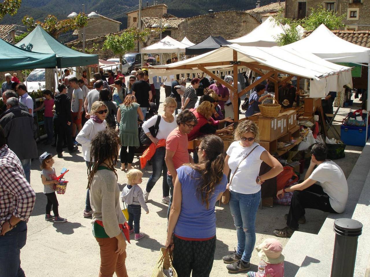 Festa de les Trementinaires CCAU