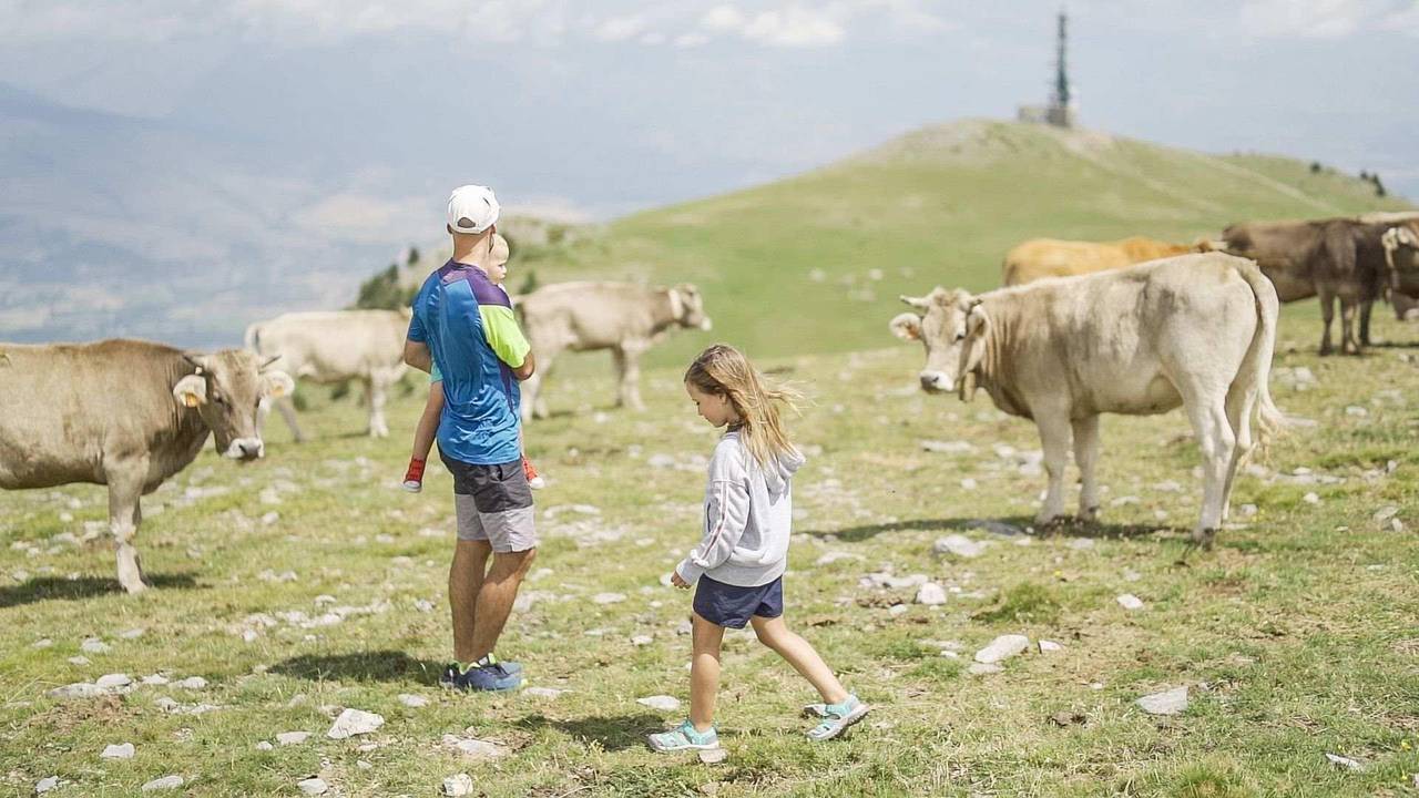 La Molina estiu 2023 3