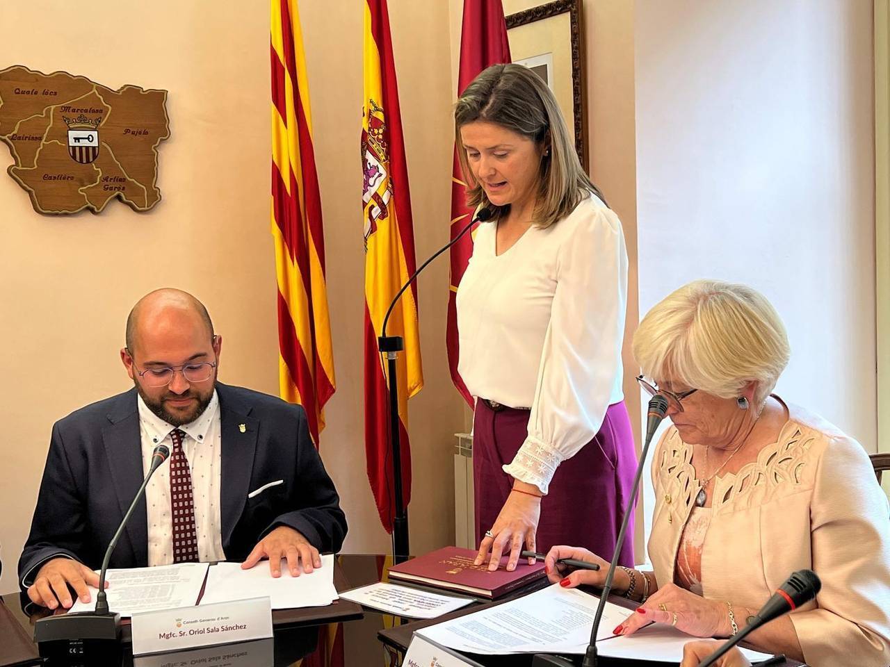 Conselh d'Aran constitució 1