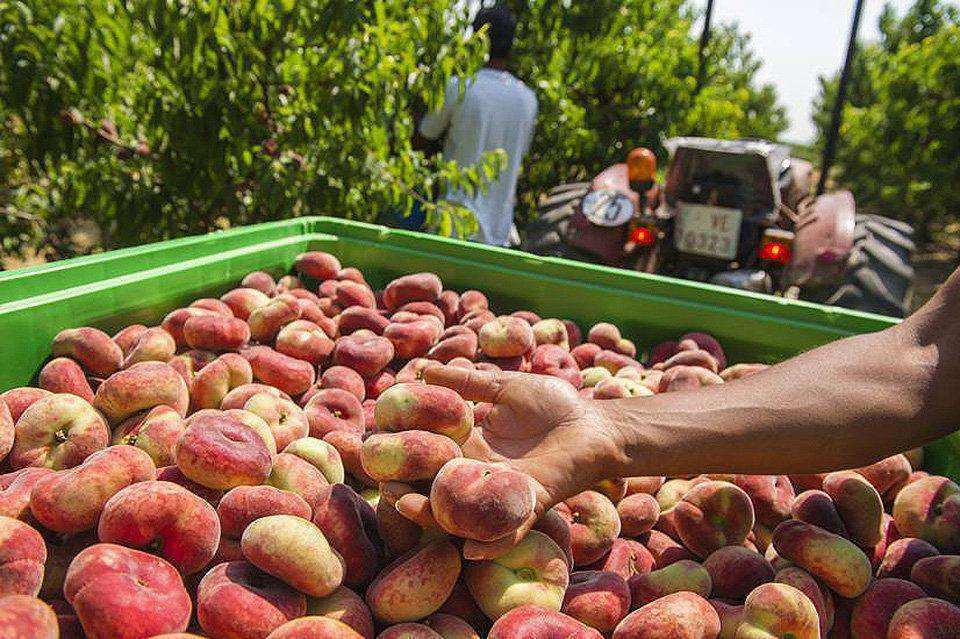 Casal cívic Tremp Alba Jussà 2