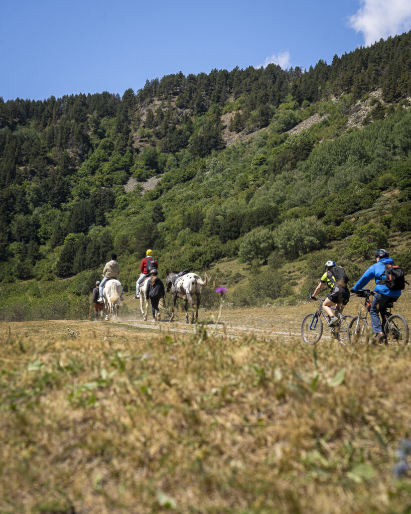 Aran Camins compartits