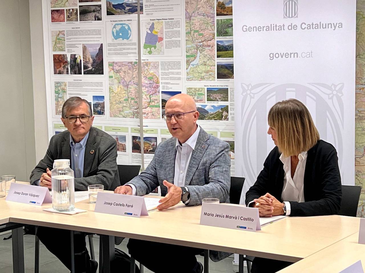 Consell Territorial Ocupació Alt Pirineu i Aran 3