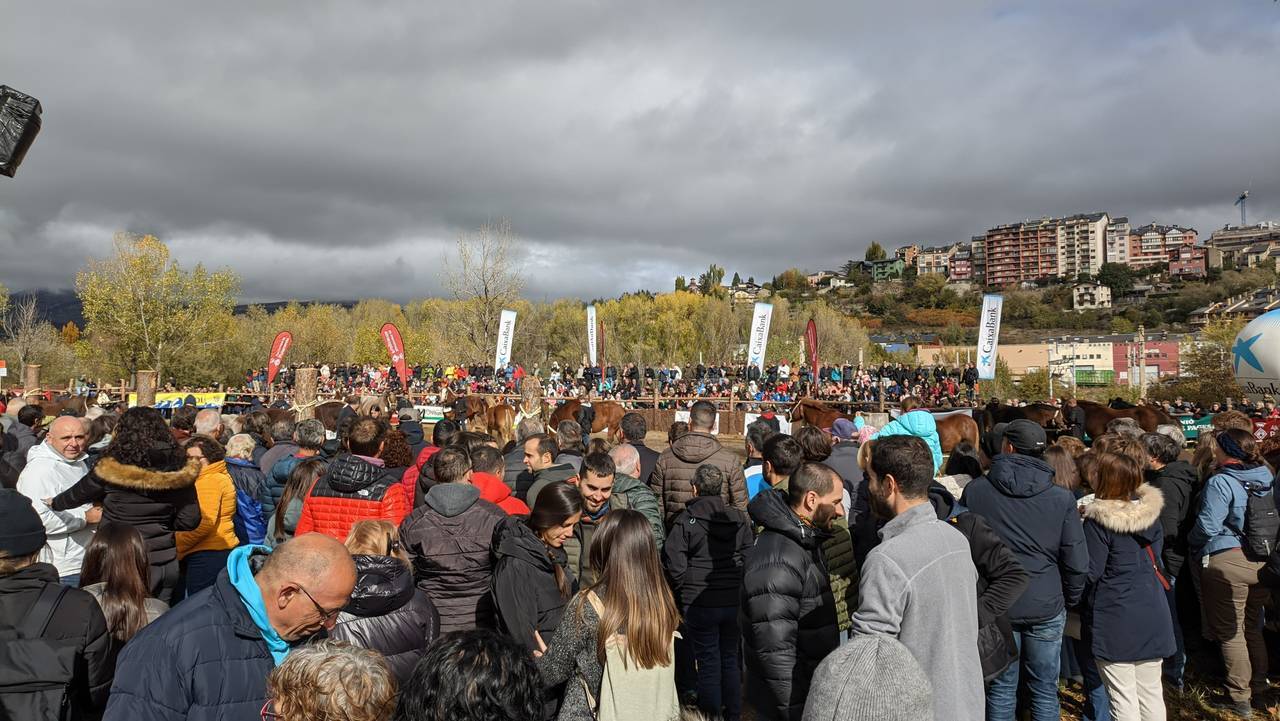 Fira Cavalls Puigcerdà 2023 3 Dipu Girona