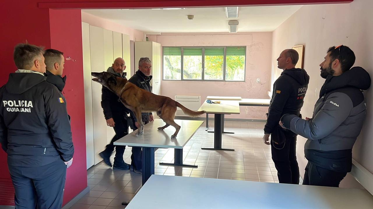 Unitats canines Mossos policia d'Andorra 3