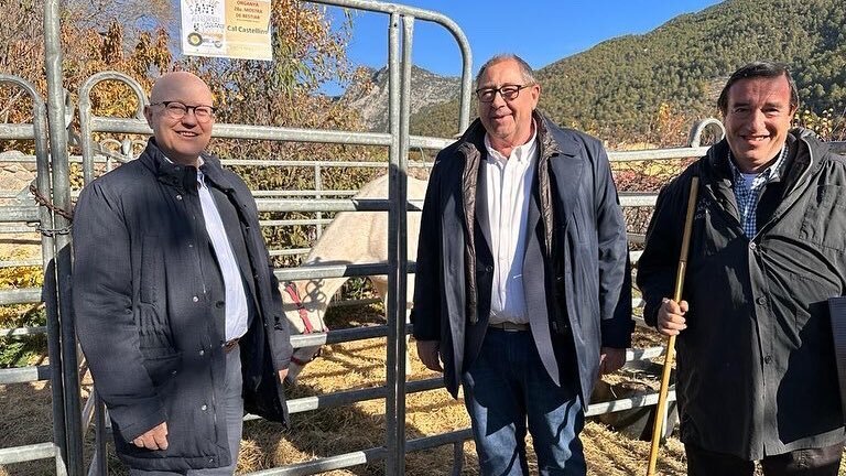 Fira de Sant Andreu d'Organyà 2023 3