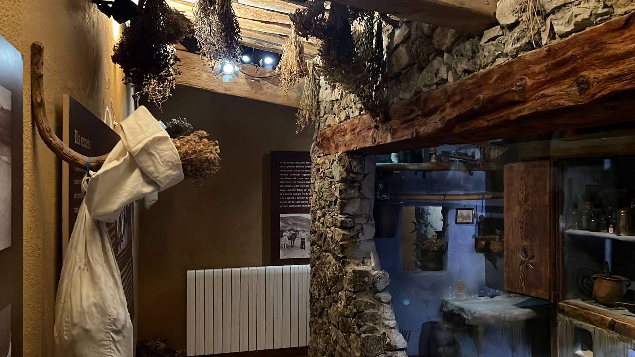 Museu de les Trementinaires Albert Lijarcio 3