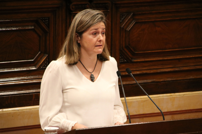 Vergés compareixença Parlament 2