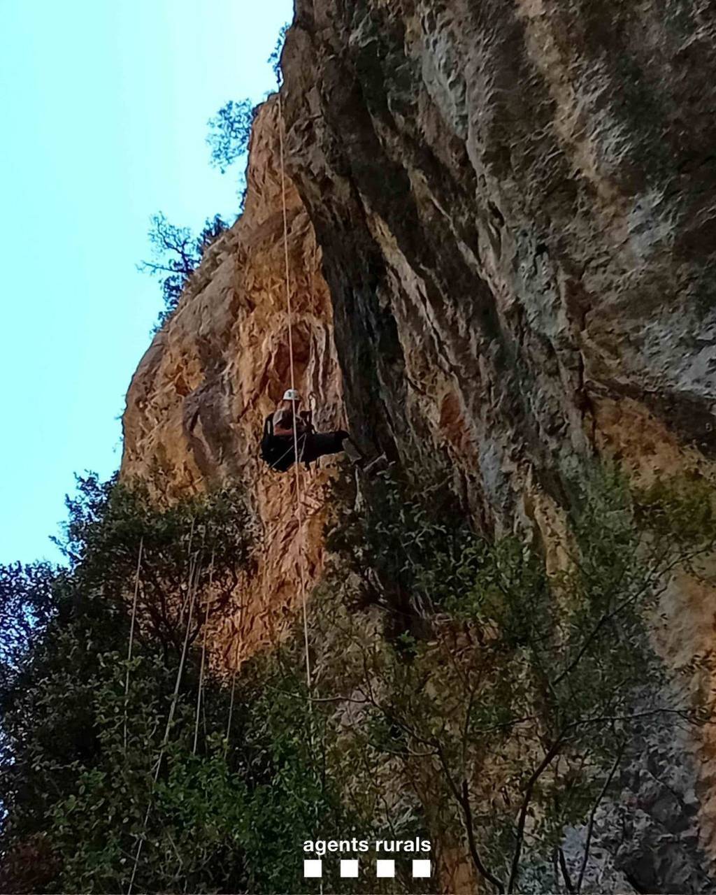 Escalada trencalòs 1