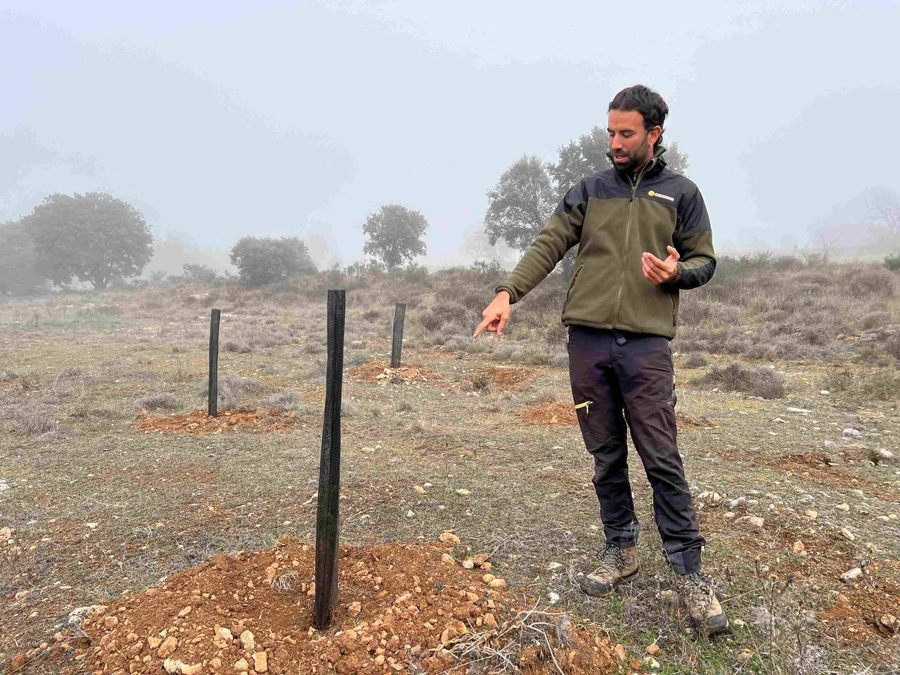 Albert Cereza conills de bosc 2