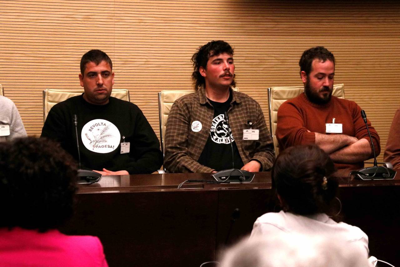 Pagesos al Parlament 2