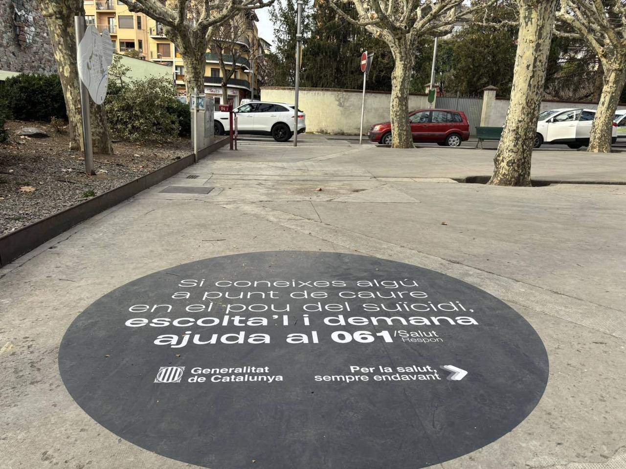 Campanya prevenció suicidi vinil la Seu