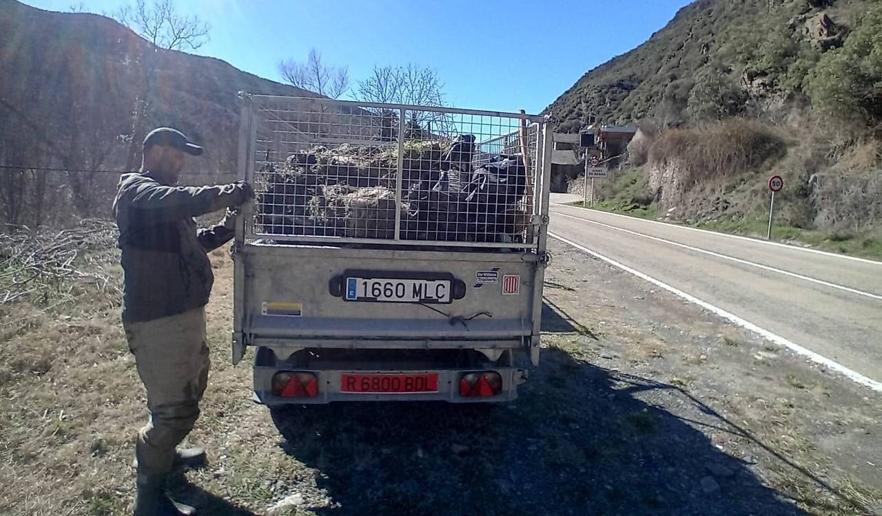Riu Noguera de Vallferrera 2