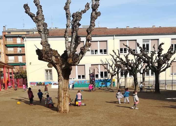 Escola Valldeflors Tremp 2