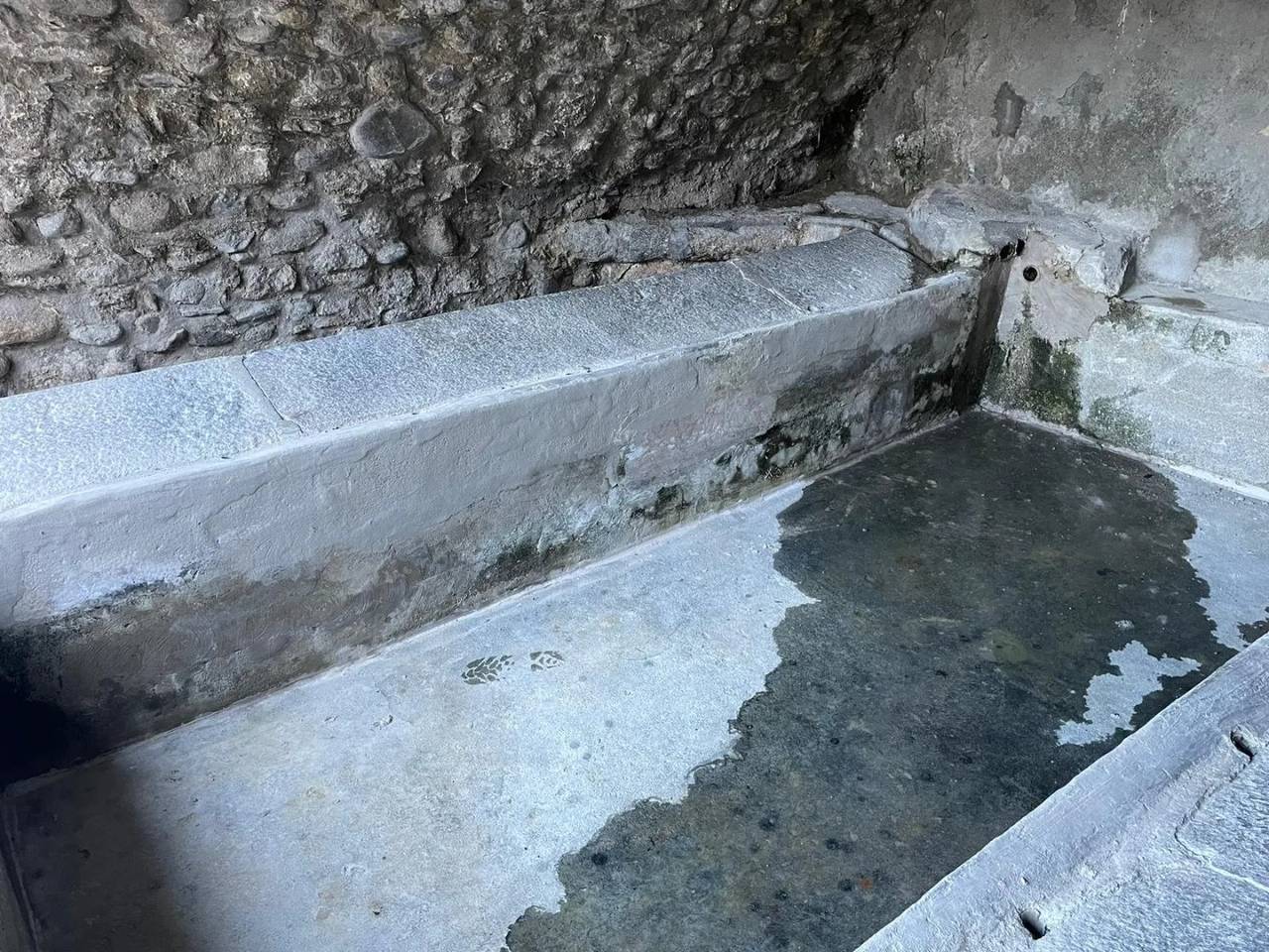 Safareig Puigcerdà 2