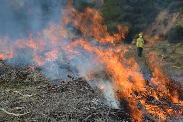 Prohibició fer foc