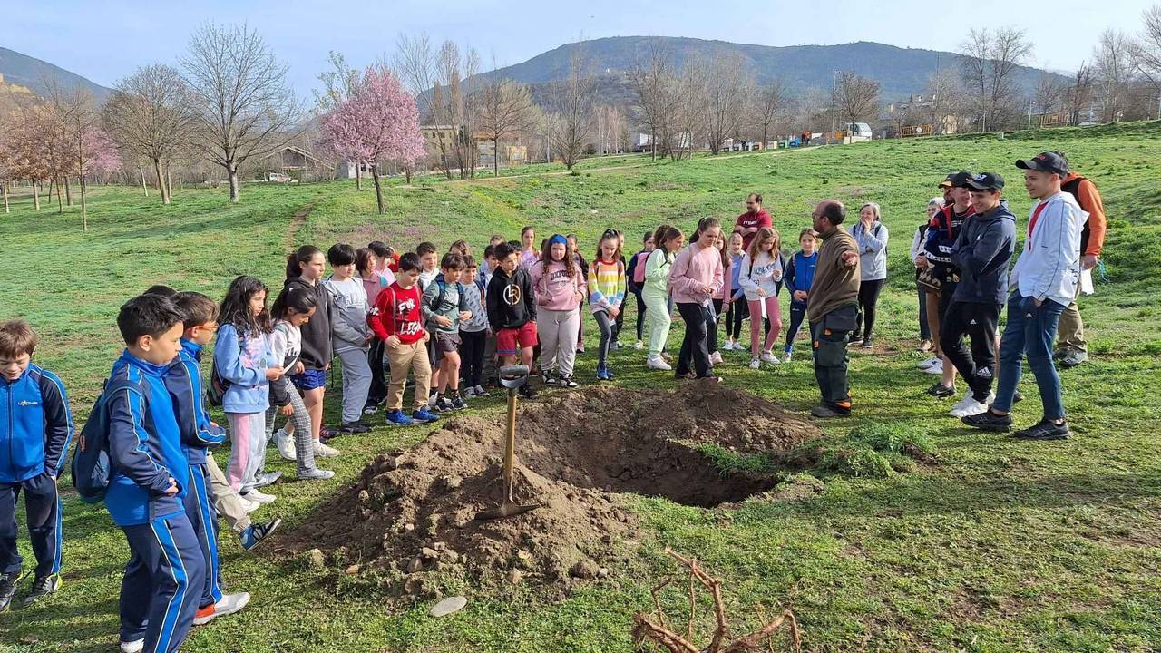 Dia de l'Arbre escoles 3