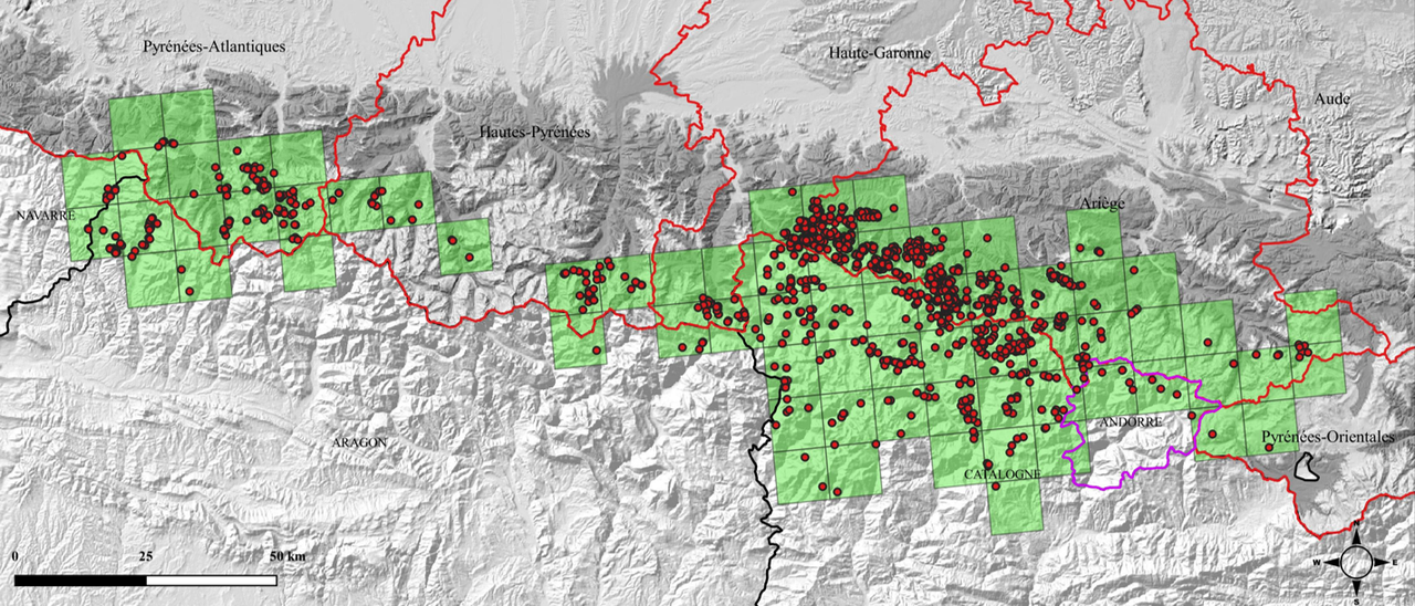 Distribució per quadrícules UTM 10 x10 km de l’os bru als Pirineus, en 2023: àrea de distribució total de 7.100 km² (1.800 km² als Pirineus occidentals i 5.300 km² als Pirineus centrals).