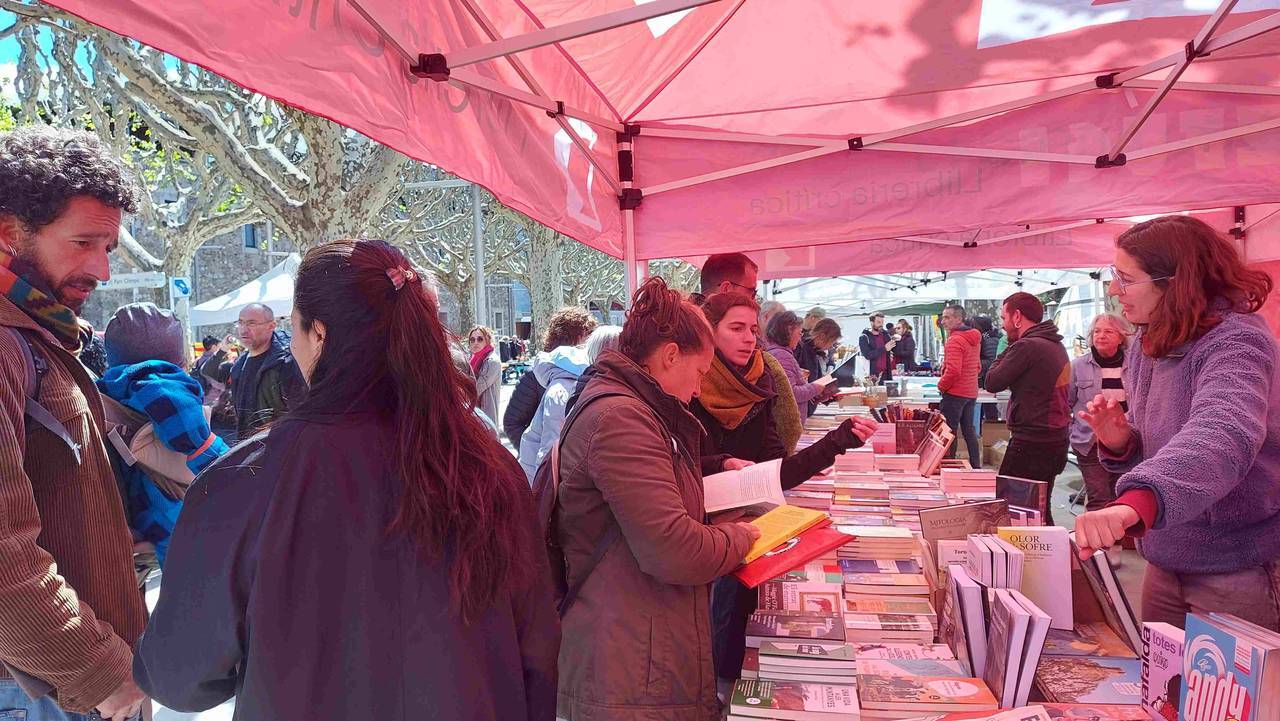 Sant Jordi 2024 la Seu 4