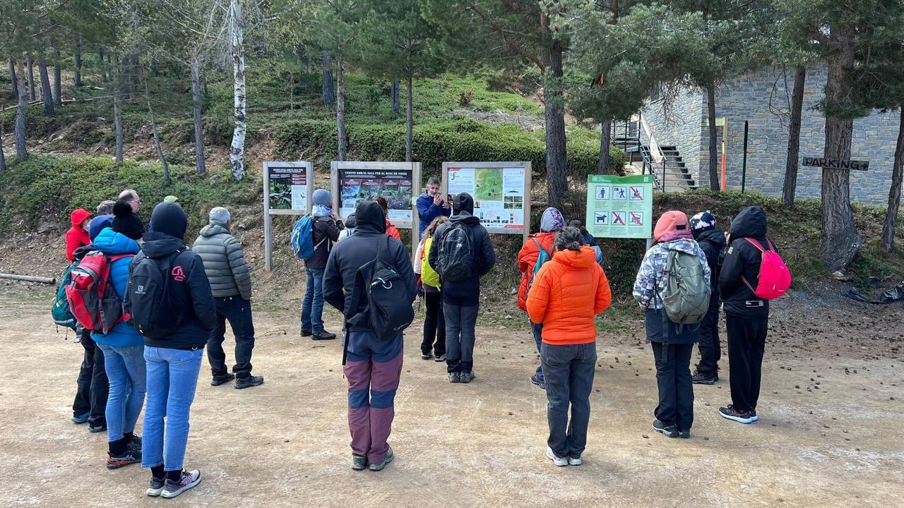 Curs informadors PNAP 2