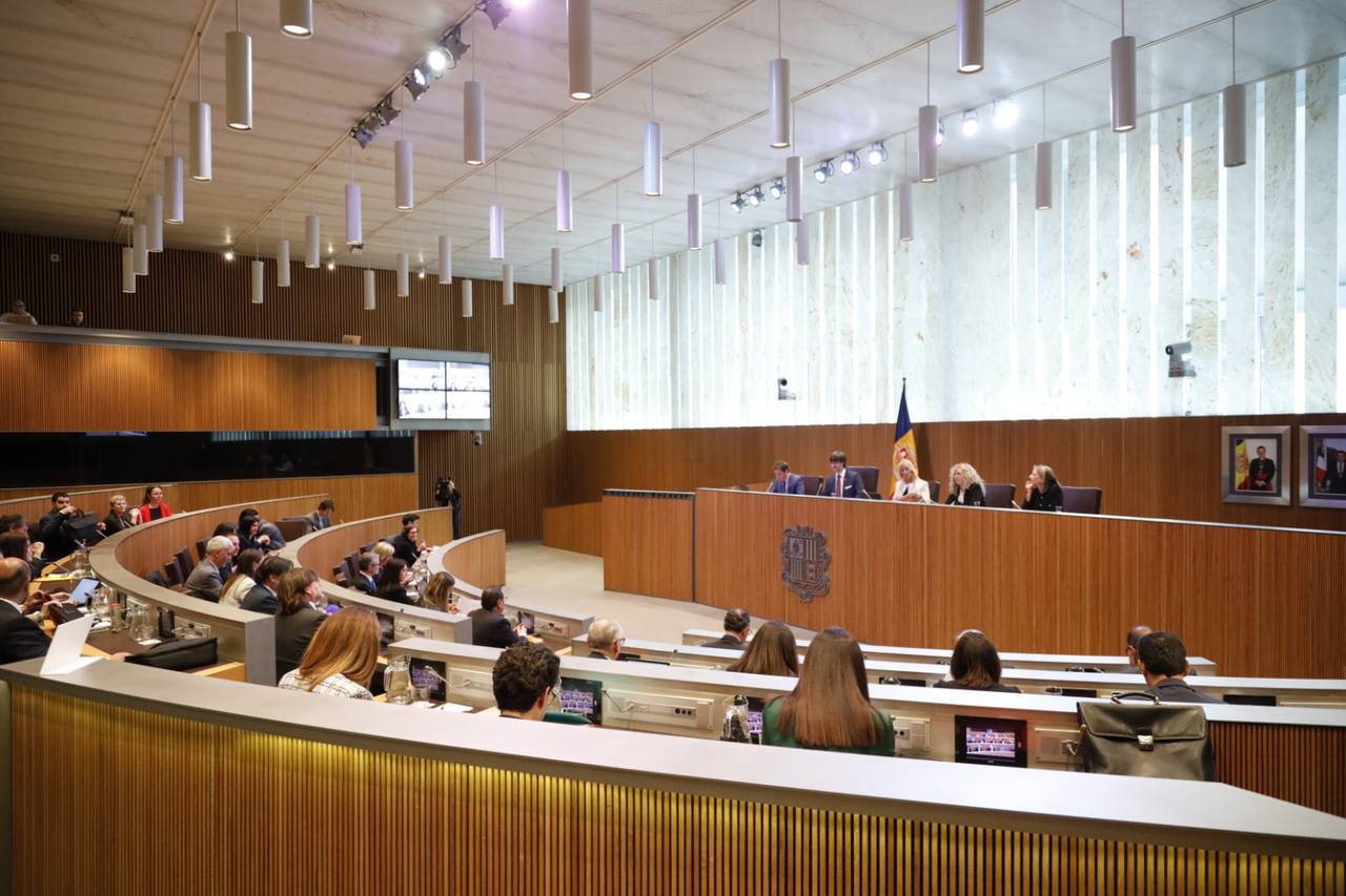 Consell General Llei català