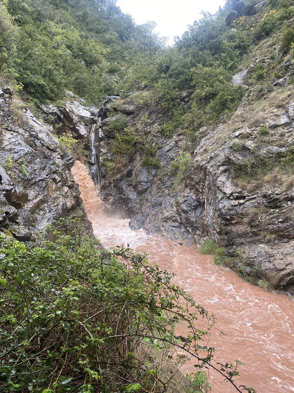 Barranc Roi a la Plana