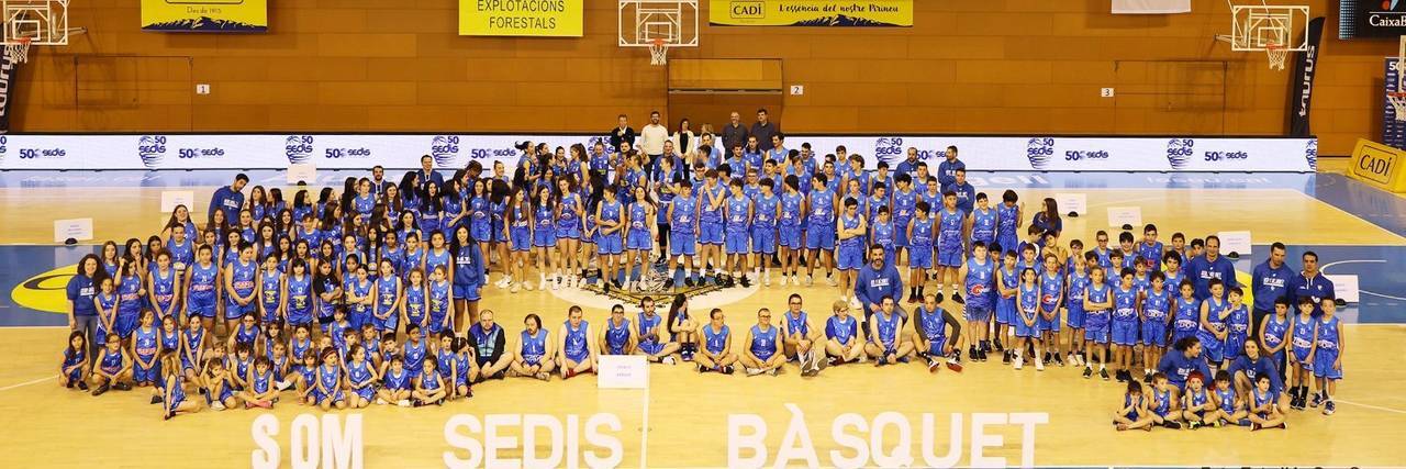 SEDIS BÀSQUET