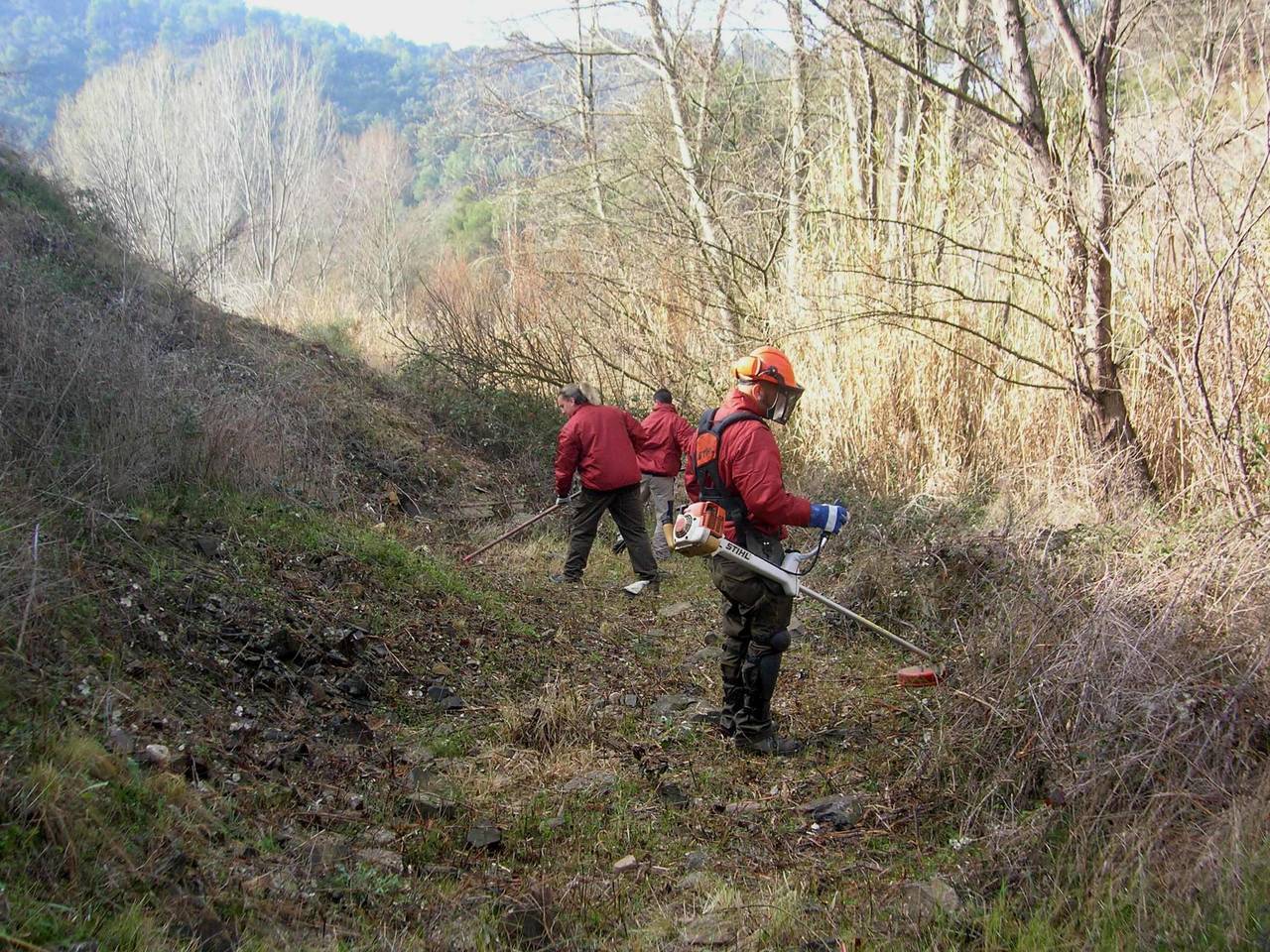 MANTENIMENT DE CAMINS