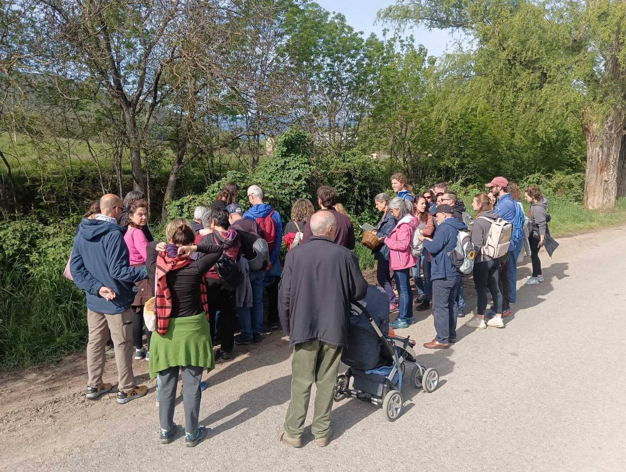 Territori Silvestre Seu d'Urgell_sortida etnobotànica