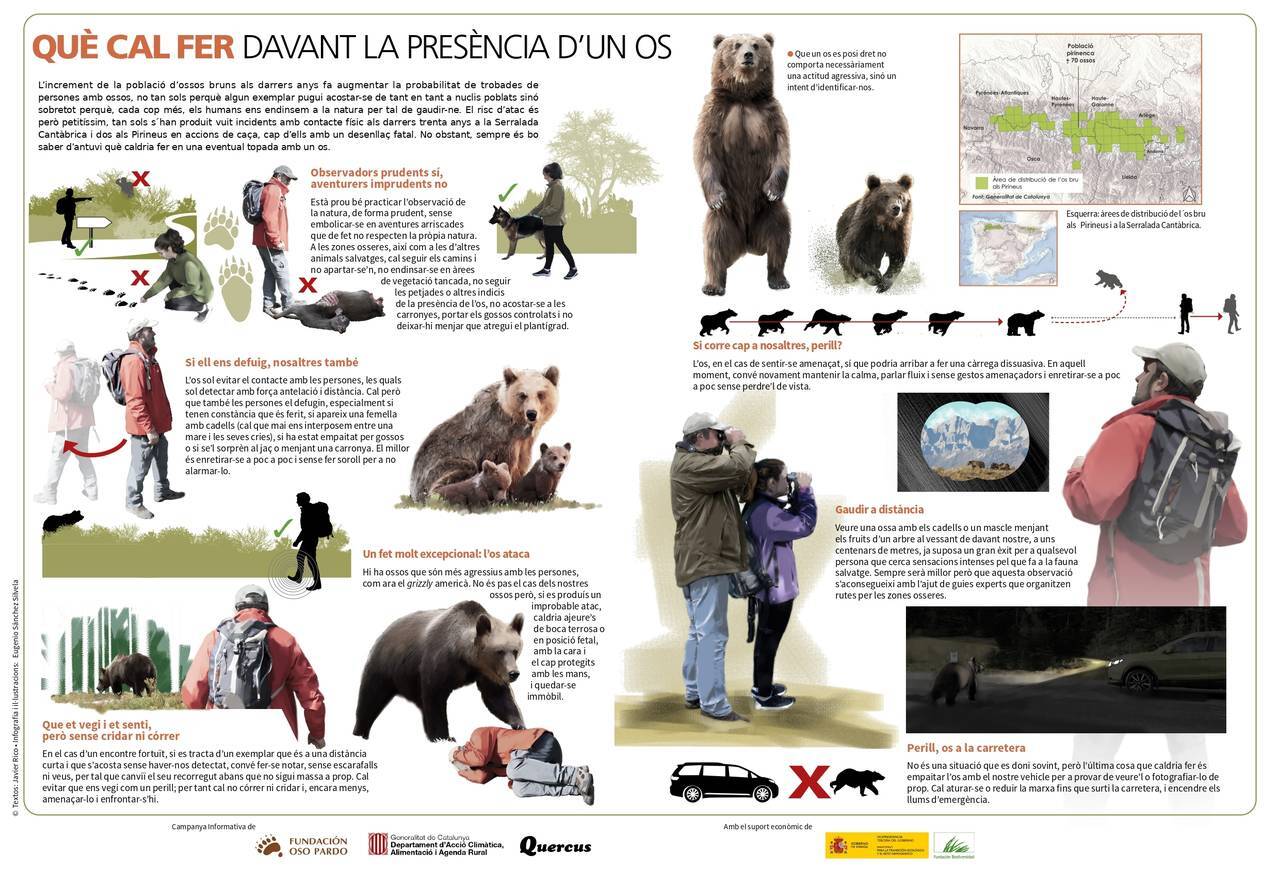 Os bru cartell