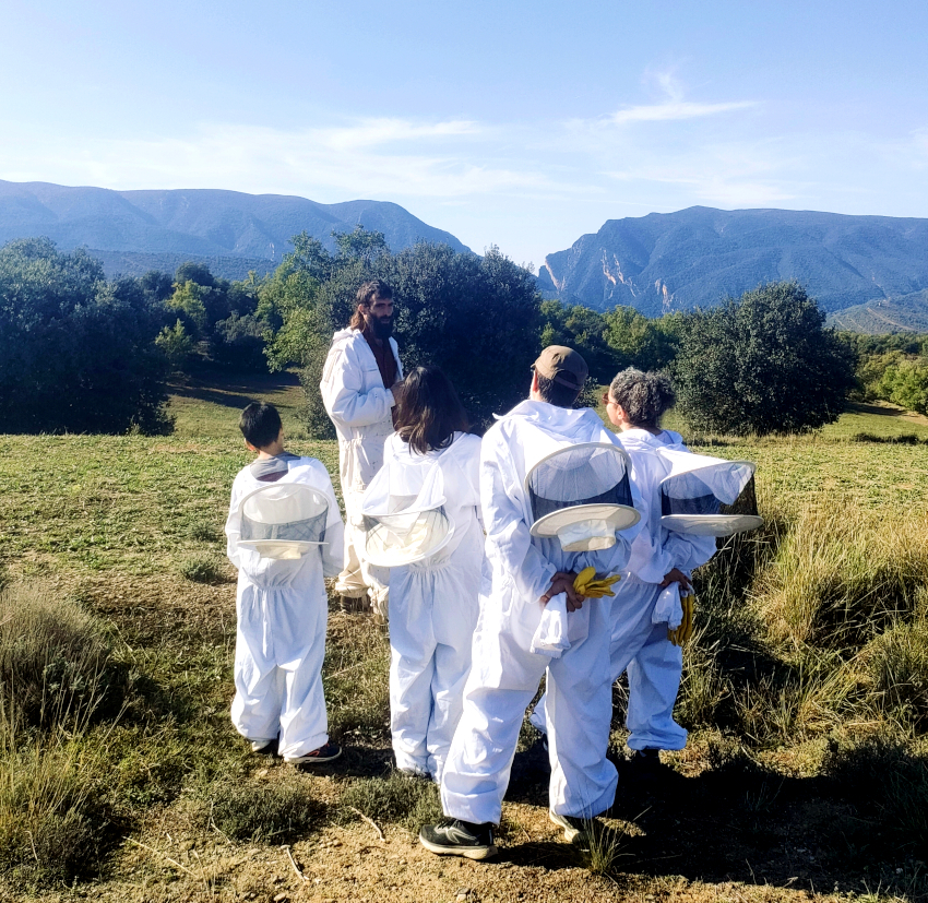 NDP_Territorial Pirineu_2