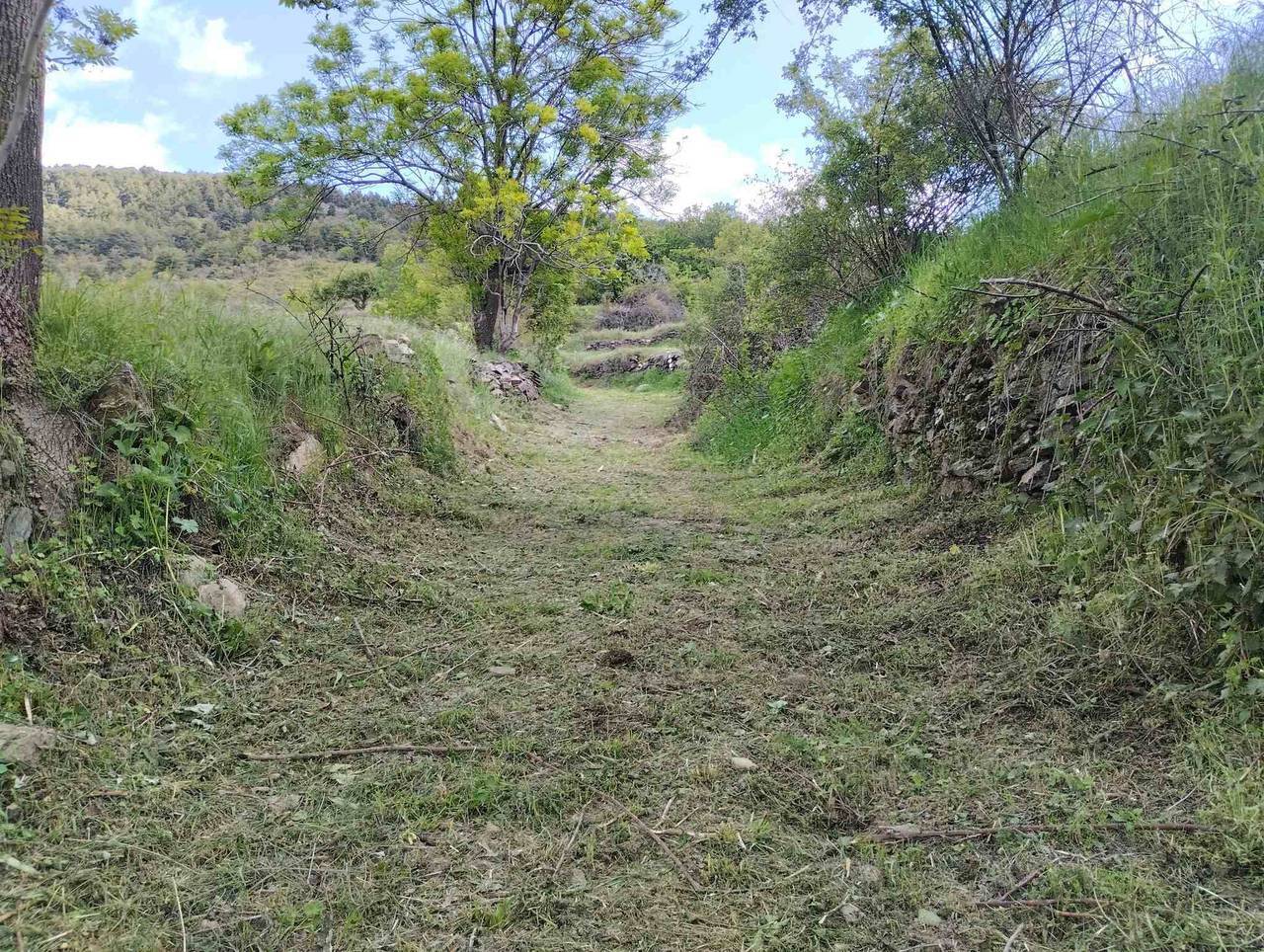 Camí del Roncàs 2