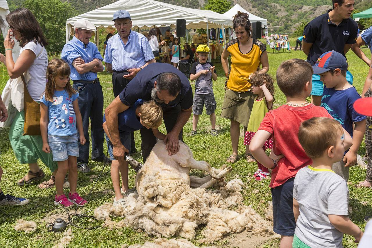 Fira de Productes del Parc Natural de l'Alt Pirineu i l'Ovella Aranesa 3