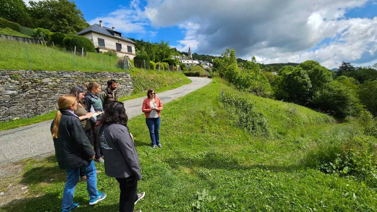 WhatsApp_Image_2024-05-22_at_11.44.33