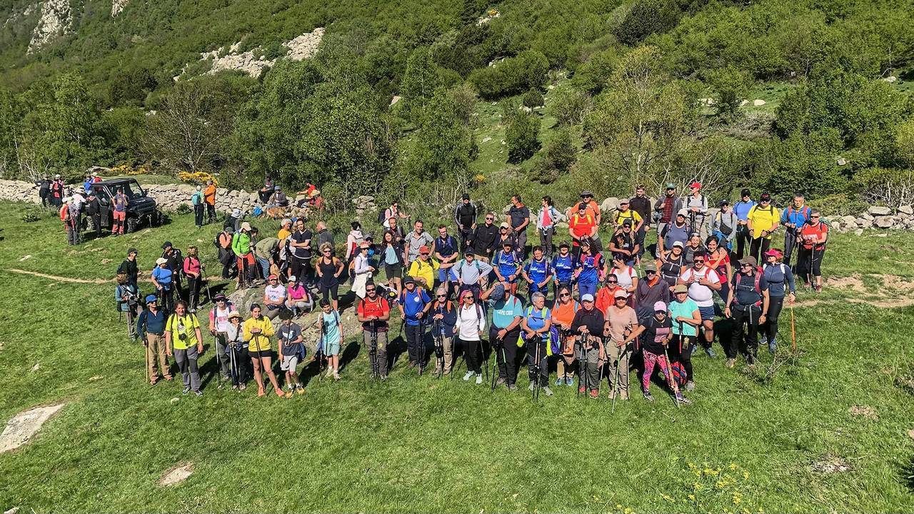 Festa transhumància Llívia 2024 5