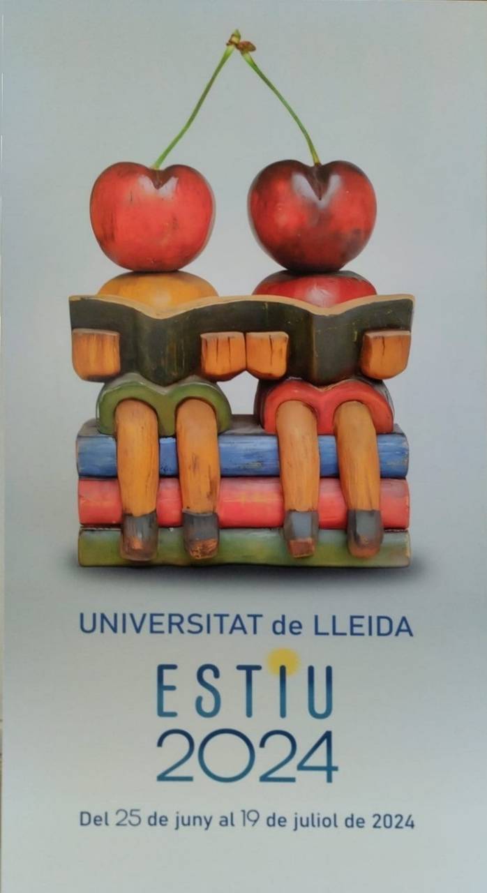 udl-universitat d'estiu