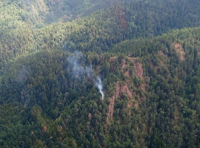 Montellà i Martinet Incendi forestal petit