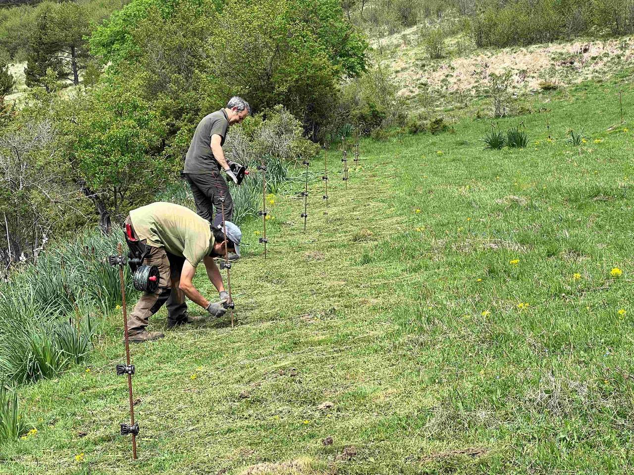 Os assentaments agrícoles 3